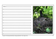 Amsel-eigene-Texte-12.pdf